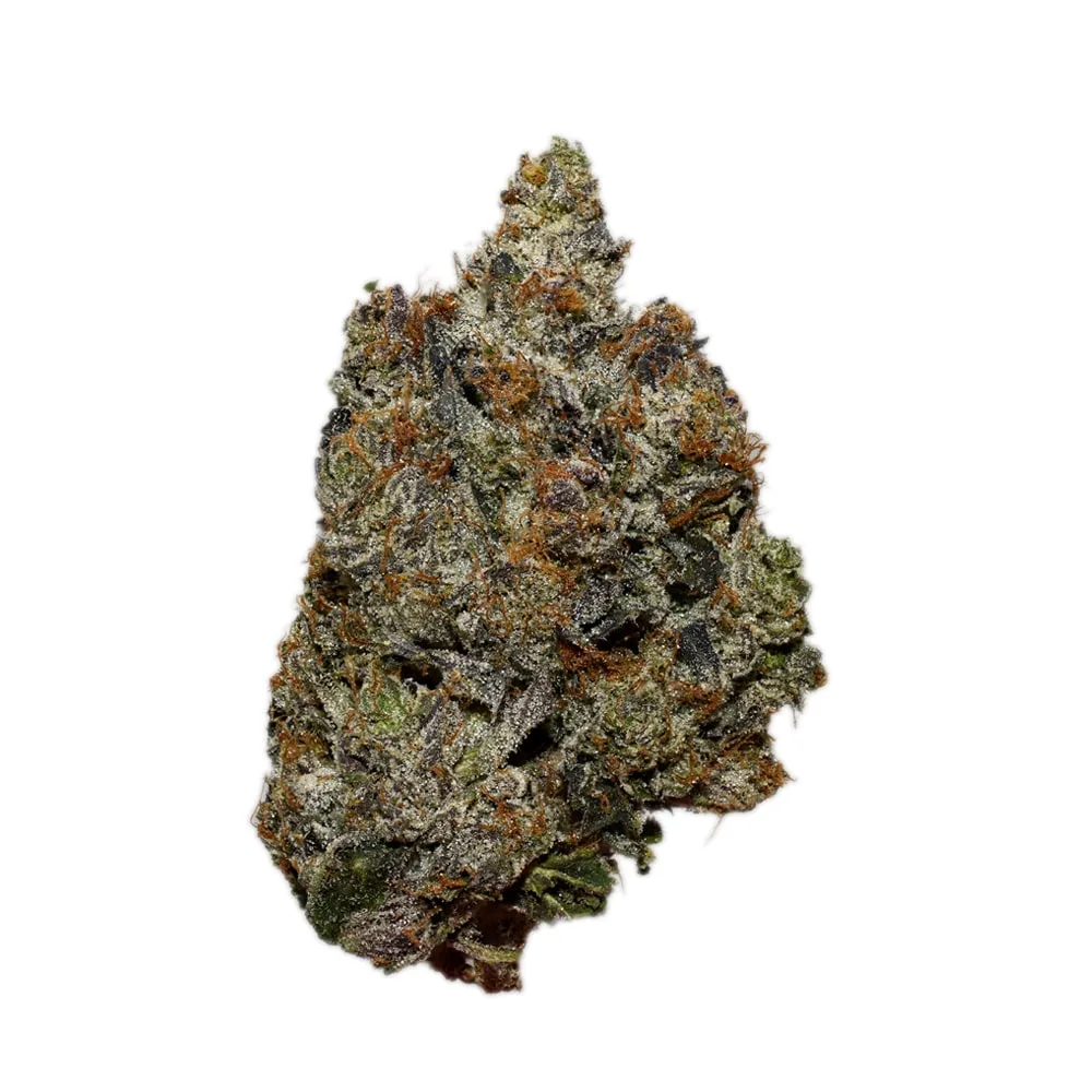 Cookie Glue AAAA+