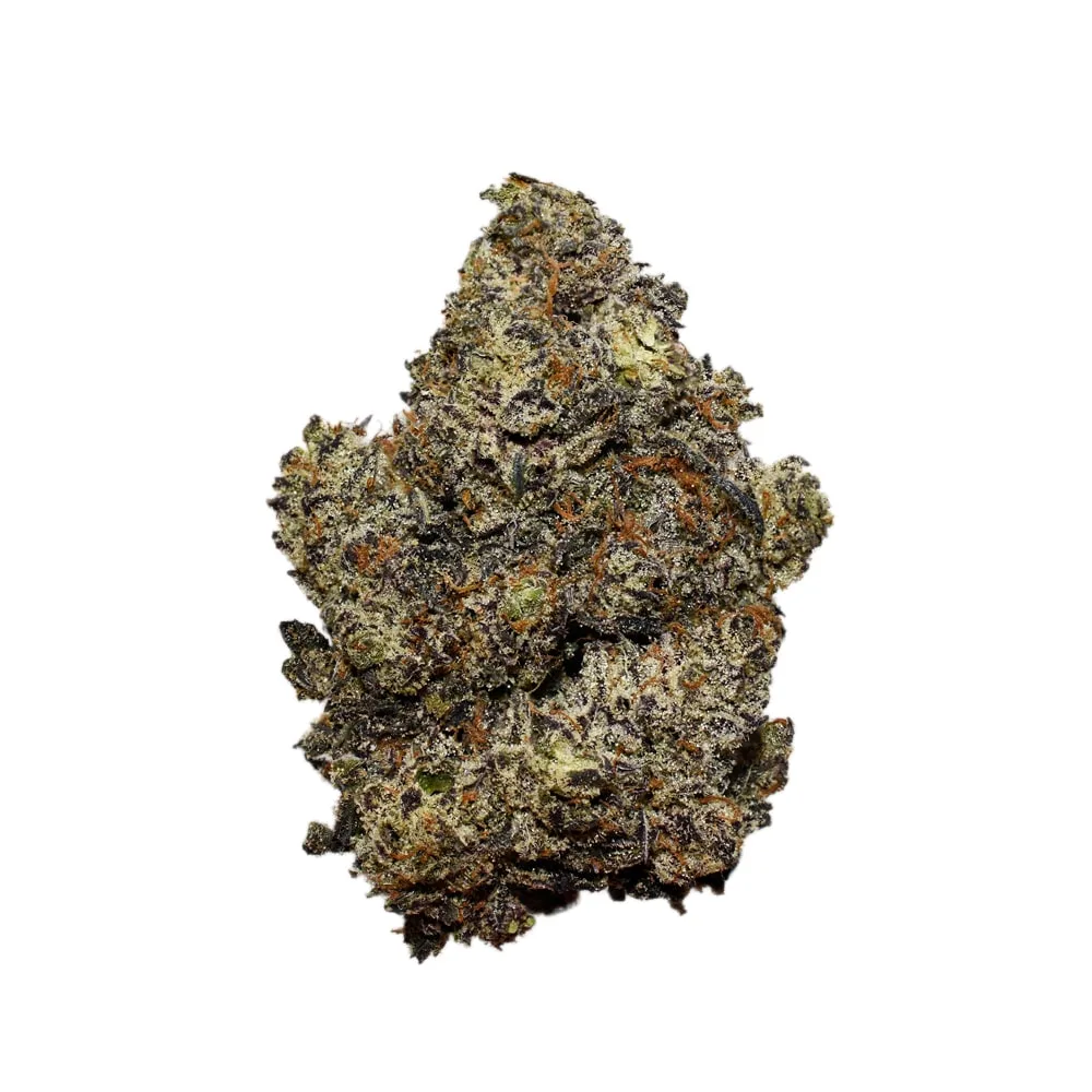 Critical Purple AAAA+