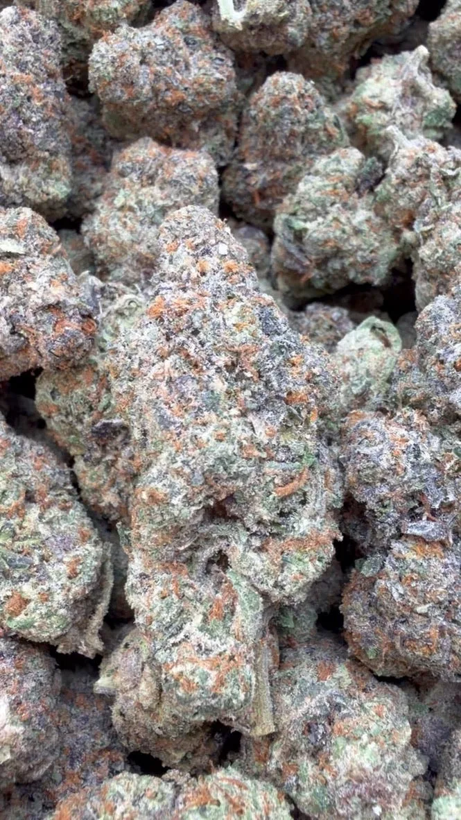 Lemonatti Indoor – Sativa – Wholesale