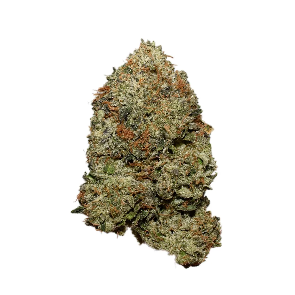 Motorbreath AAAA