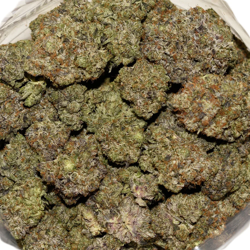 Platinum Rockstar AAAA+