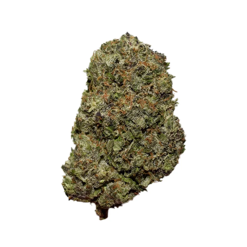 SFV OG AAAA