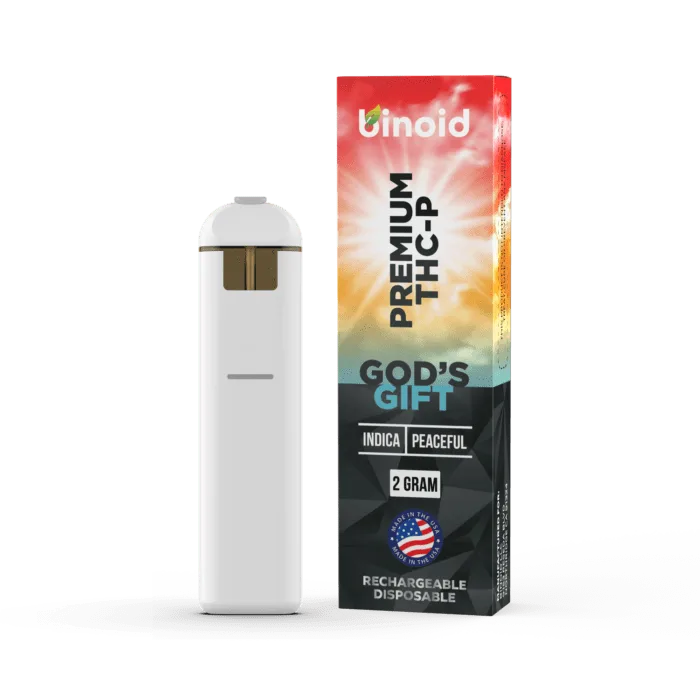 THC-P Rechargeable Disposable – 2 Grams