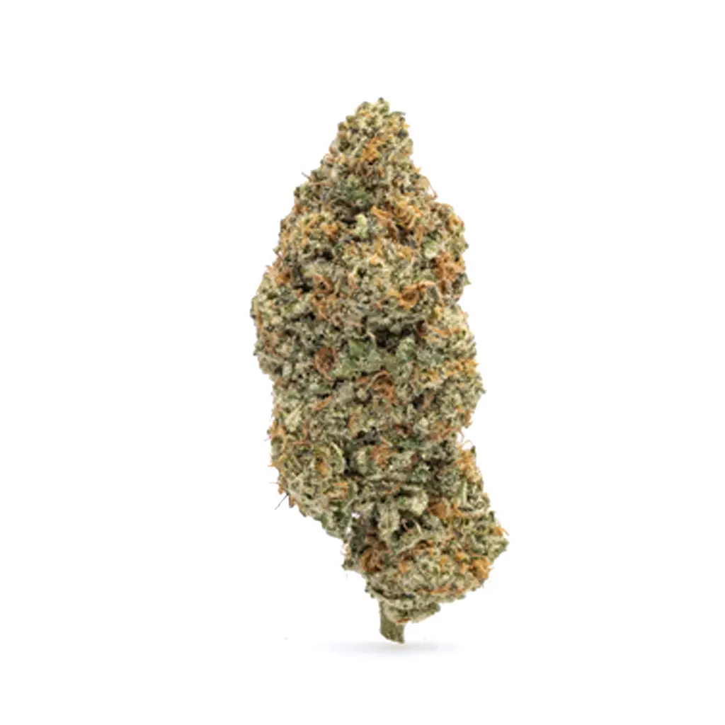 THCa Flower Night Walker