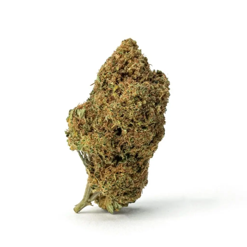 THCa Flower Sex Panther